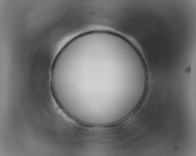X0000111611287200907171030