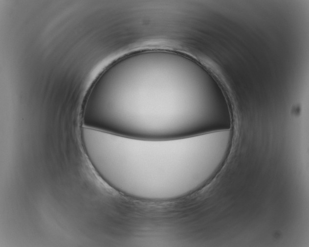 X0000111611288200907171030