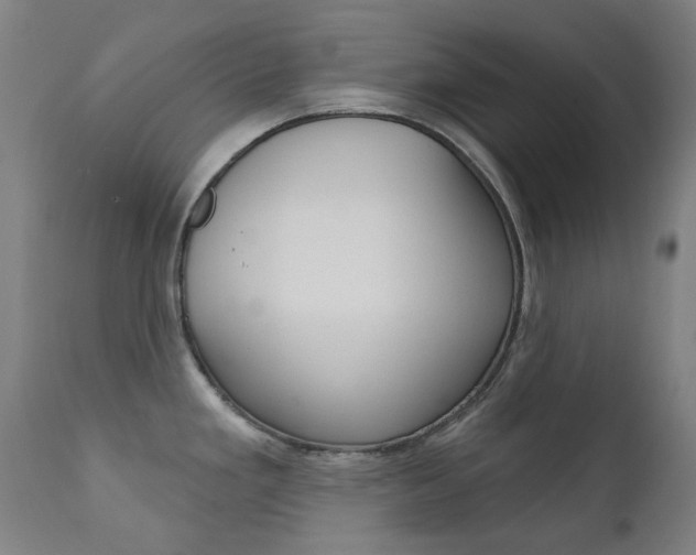 X0000111611293200907171030