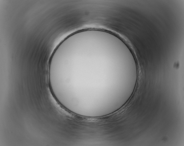 X0000111611295200907171030