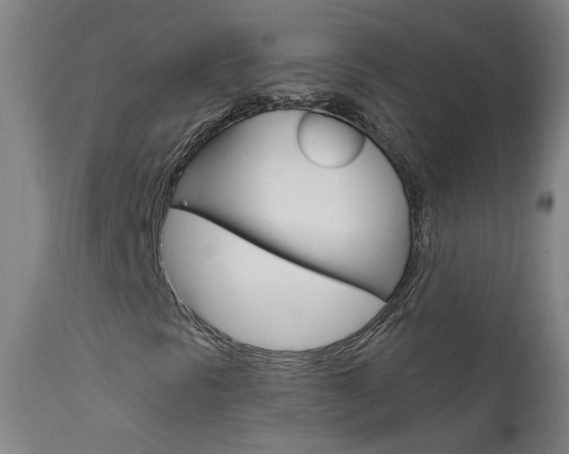 X0000111611297200907171030