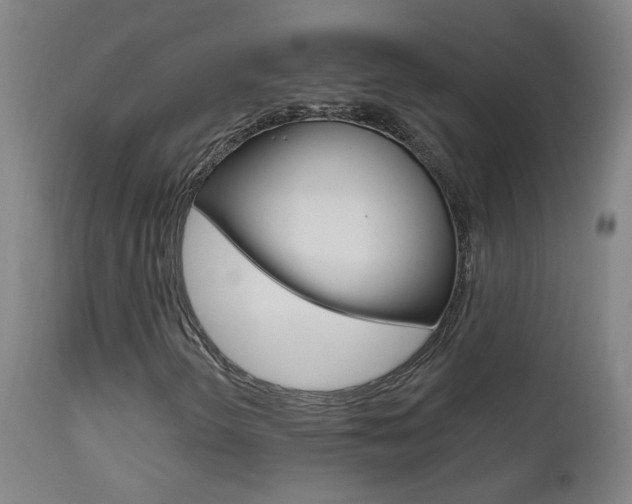 X0000111611298200907171030