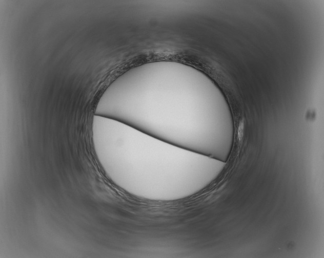 X0000111611299200907171030