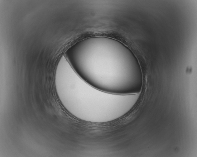 X0000111611300200907171030