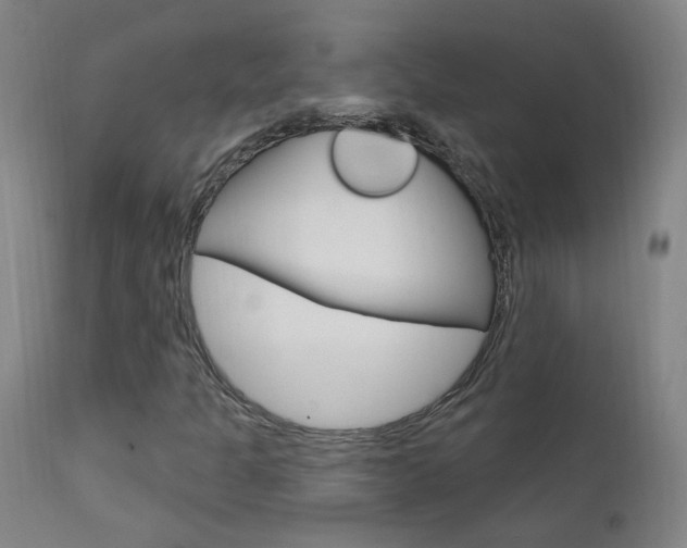 X0000111611301200907171030