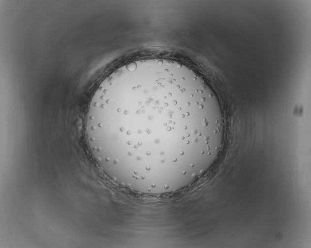 X0000111611302200907171030