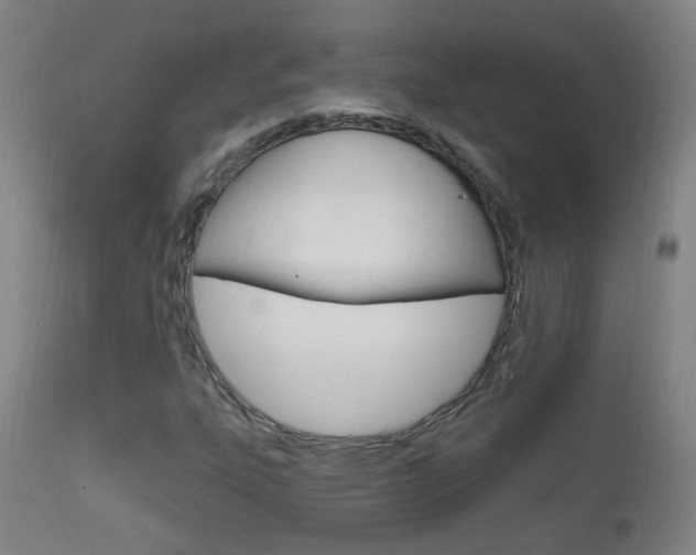 X0000111611303200907171030