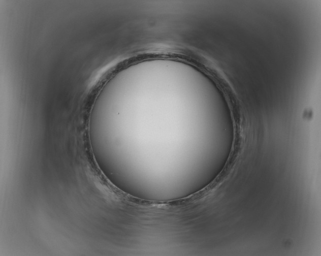 X0000111611304200907171030