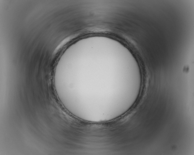 X0000111611306200907171030