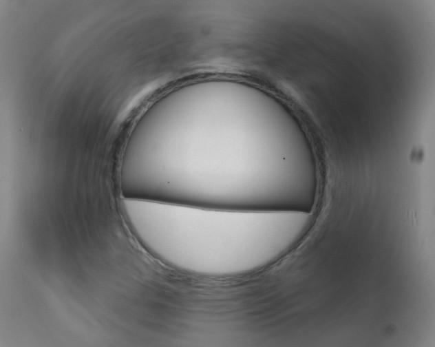 X0000111611307200907171030