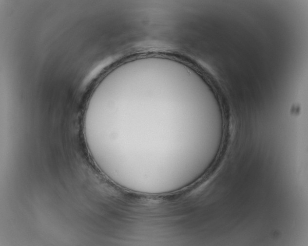 X0000111611309200907171030