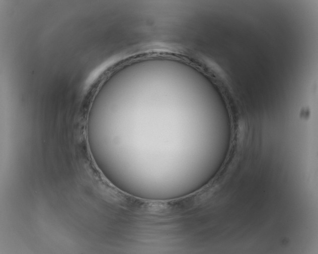 X0000111611310200907171030