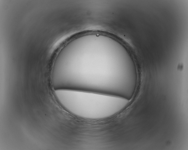 X0000111611311200907171030