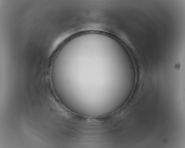 X0000111611312200907171030
