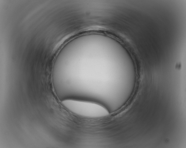 X0000111611313200907171030