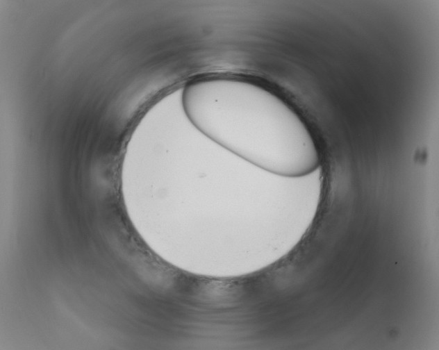 X0000111611314200907171030