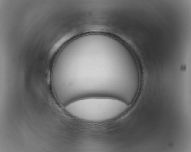 X0000111611317200907171030