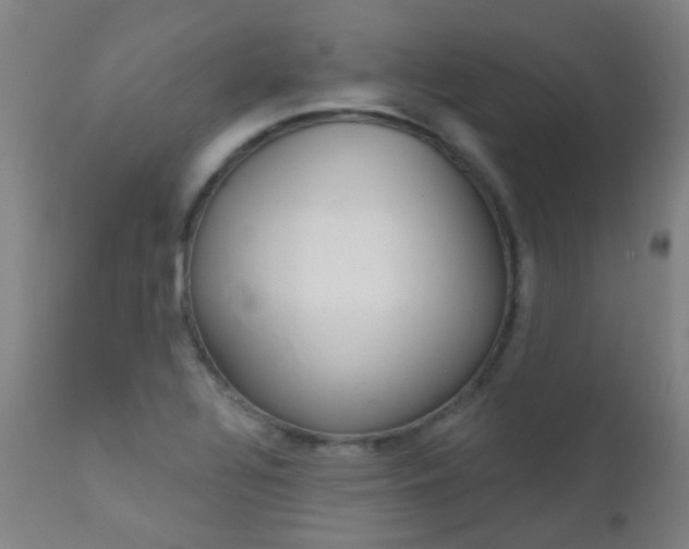 X0000111611320200907171030