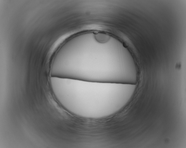 X0000111611323200907171030