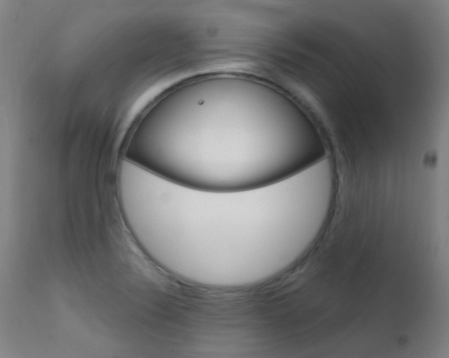 X0000111611324200907171030