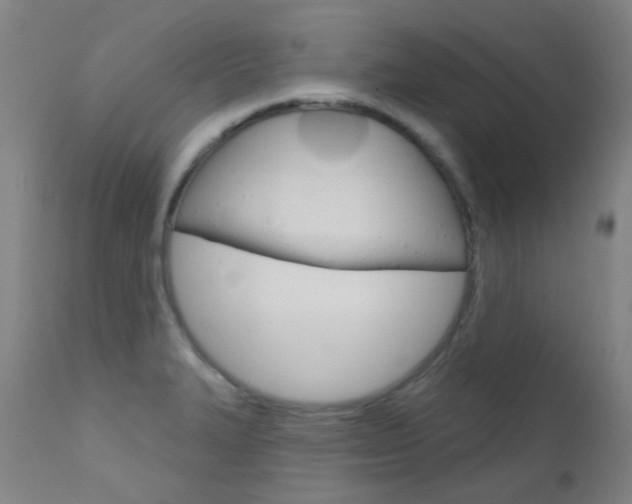 X0000111611327200907171030