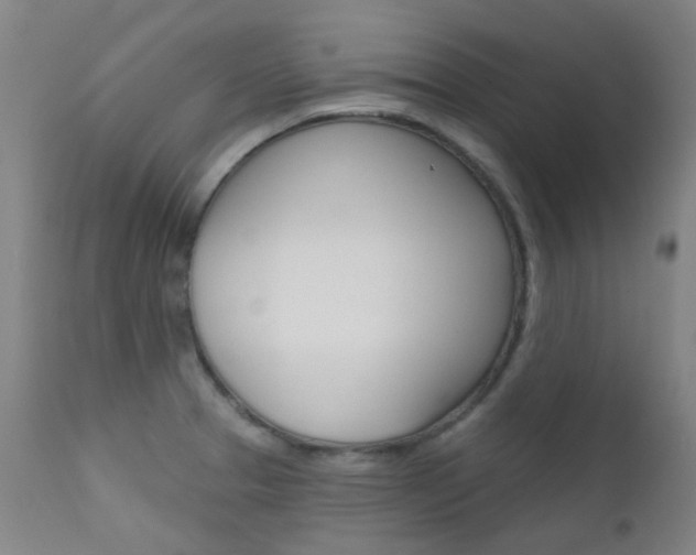 X0000111611329200907171030