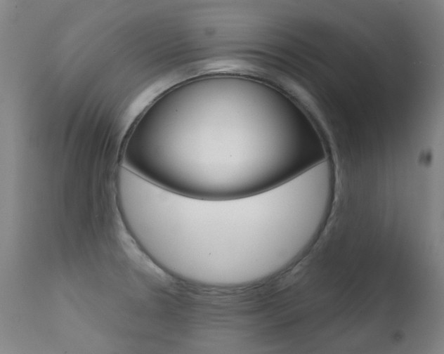 X0000111611330200907171030