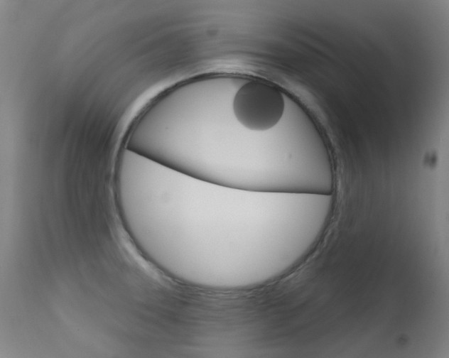 X0000111611331200907171030