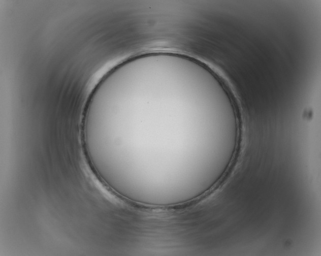 X0000111611333200907171030