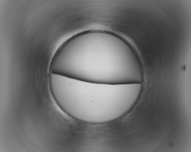 X0000111611335200907171030