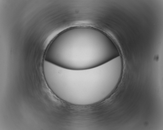 X0000111611336200907171030