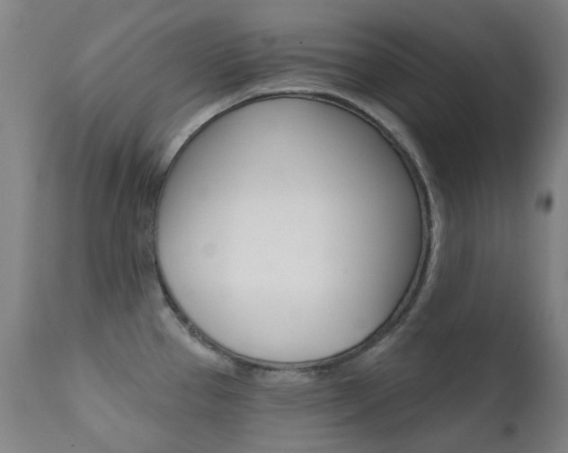 X0000111611337200907171030