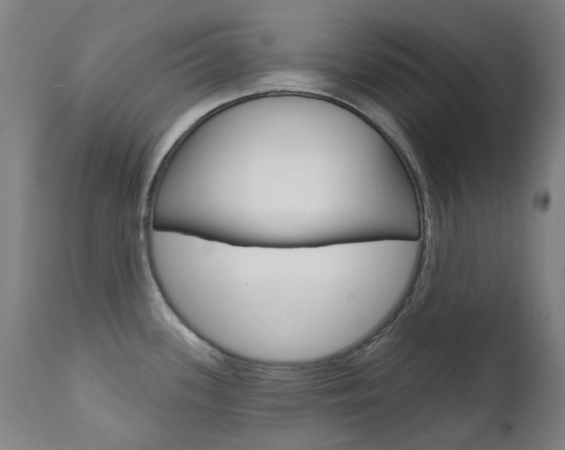 X0000111611339200907171030