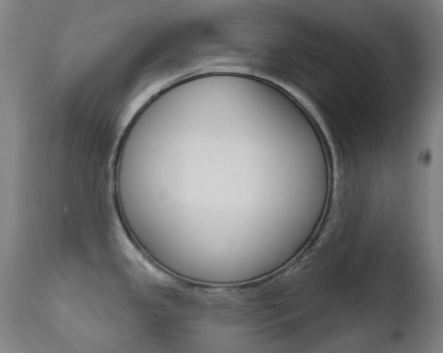 X0000111611341200907171030