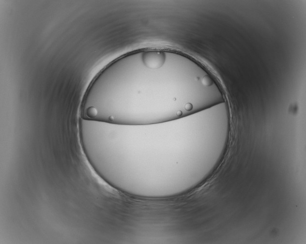 X0000111611343200907171030