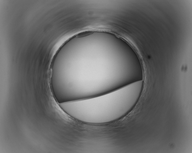 X0000111611344200907171030