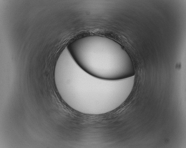 X0000111611345200907171030