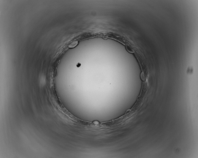 X0000111611348200907171030