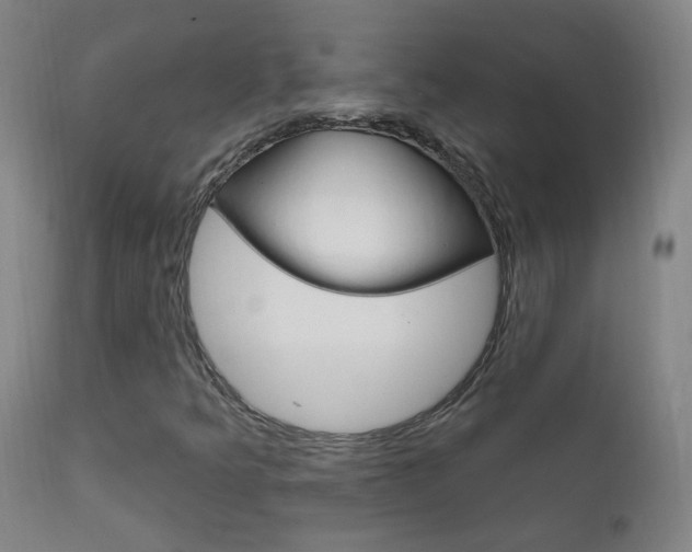 X0000111611349200907171030