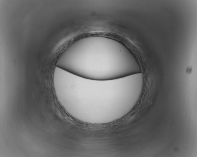 X0000111611351200907171030