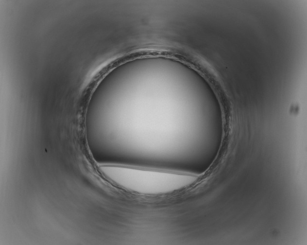 X0000111611352200907171029