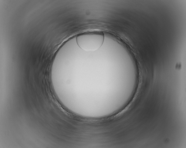 X0000111611353200907171029