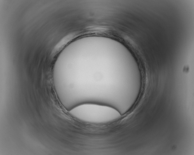 X0000111611354200907171029
