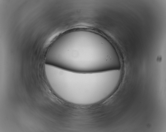 X0000111611355200907171029