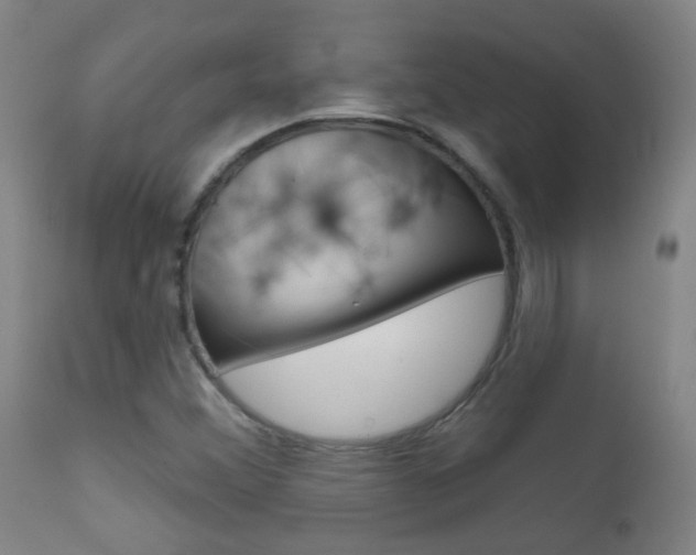 X0000111611356200907171029