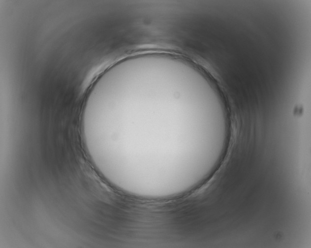 X0000111611357200907171029