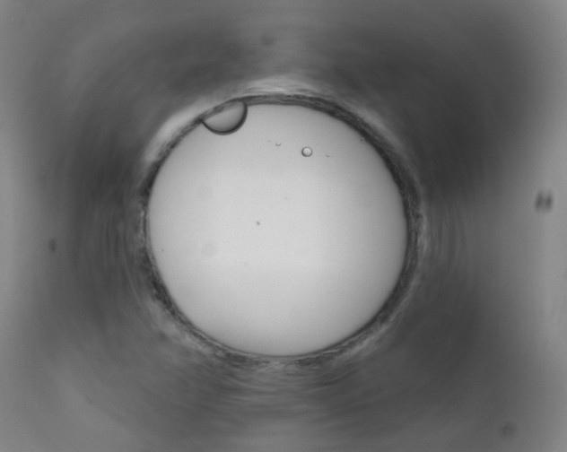 X0000111611358200907171029