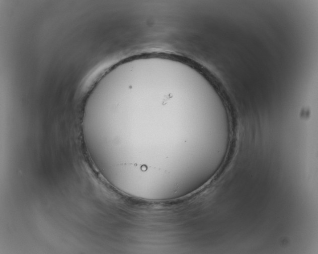 X0000111611359200907171029