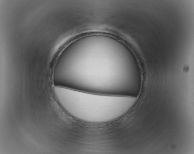 X0000111611360200907171029