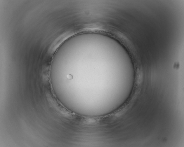 X0000111611361200907171029
